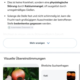 LocherInToamtenIrrtSichKI 2026-07-16 09.29.